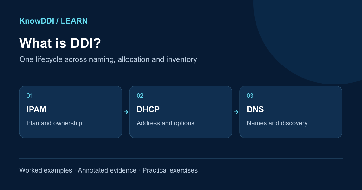 What is DDI?: topic overview